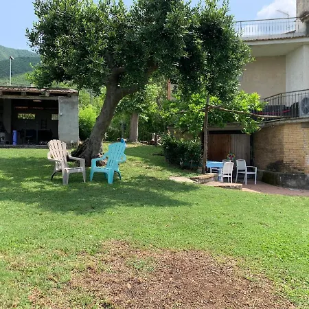 Vincland San Michele (Frosinone)