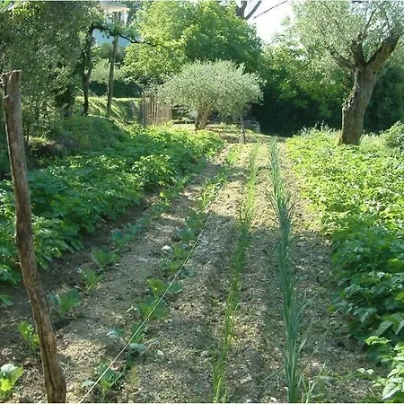 Vincland Holiday home San Michele (Frosinone)